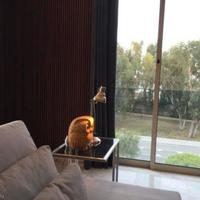 Апартаменты на Кипре, Лимасол, Никосия, 130 кв.м.