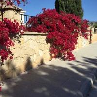 Villa in Republic of Cyprus, Eparchia Pafou, Nicosia, 716 sq.m.