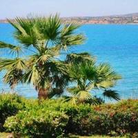 Вилла на Кипре, Пафос, Никосия, 100 кв.м.