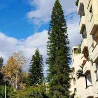 Апартаменты на Кипре, Лимасол, Никосия, 130 кв.м.