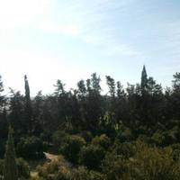 Апартаменты на Кипре, Пафос, Никосия, 118 кв.м.