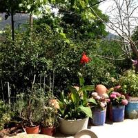 Apartment in Republic of Cyprus, Lemesou, Nicosia, 90 sq.m.