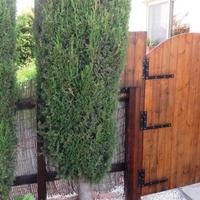 Apartment in Republic of Cyprus, Lemesou, Nicosia, 140 sq.m.