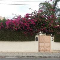 Villa in Republic of Cyprus, Lemesou, Nicosia, 600 sq.m.