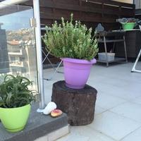 Апартаменты на Кипре, Лимасол, Никосия, 60 кв.м.