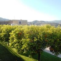 Апартаменты на Кипре, Лимасол, Никосия, 55 кв.м.