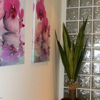 Апартаменты на Кипре, Лимасол, Никосия, 184 кв.м.