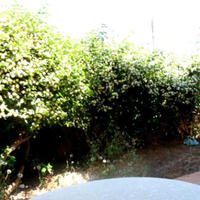 Апартаменты на Кипре, Лимасол, Никосия, 100 кв.м.