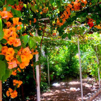 Апартаменты на Кипре, Лимасол, Никосия, 100 кв.м.