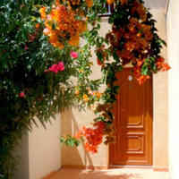 Апартаменты на Кипре, Лимасол, Никосия, 100 кв.м.