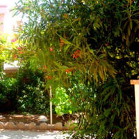 Апартаменты на Кипре, Лимасол, Никосия, 100 кв.м.