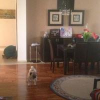 Villa in Republic of Cyprus, Lemesou, Nicosia, 160 sq.m.