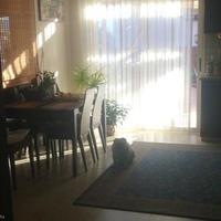 Villa in Republic of Cyprus, Lemesou, Nicosia, 160 sq.m.