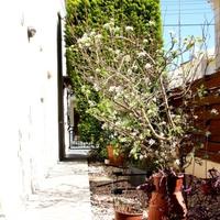 Вилла на Кипре, Лимасол, Никосия, 220 кв.м.