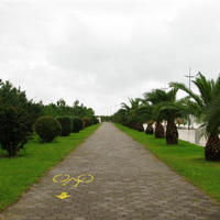 Other in Republic of Cyprus, Lemesou, Nicosia, 200 sq.m.