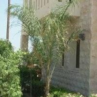 Villa in Republic of Cyprus, Lemesou, Nicosia, 200 sq.m.