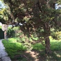 Вилла на Кипре, Лимасол, Никосия, 440 кв.м.