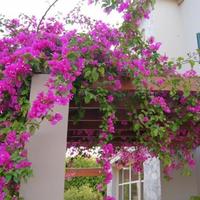 Villa in Republic of Cyprus, Lemesou, Nicosia, 260 sq.m.