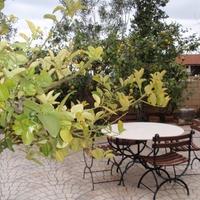 Вилла на Кипре, Лимасол, Никосия, 385 кв.м.