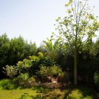 Villa in Republic of Cyprus, Lemesou, Nicosia, 440 sq.m.