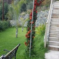 Вилла на Кипре, Лимасол, Никосия, 380 кв.м.