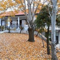 Вилла на Кипре, Лимасол, Никосия, 100 кв.м.