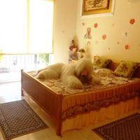 Townhouse in Republic of Cyprus, Eparchia Pafou, Nicosia, 168 sq.m.