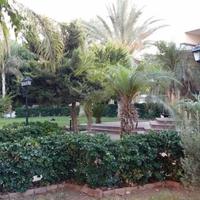 Вилла на Кипре, Ларнака, Никосия, 600 кв.м.