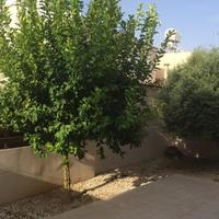 Villa in Republic of Cyprus, Eparchia Larnakas, Nicosia, 180 sq.m.