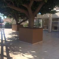 Restaurant (cafe) in Republic of Cyprus, Lemesou, Nicosia, 120 sq.m.