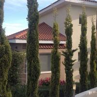 Вилла на Кипре, Лимасол, Никосия, 300 кв.м.