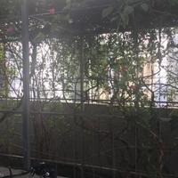 Вилла на Кипре, Лимасол, Никосия, 150 кв.м.