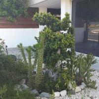 Вилла на Кипре, Лимасол, Никосия, 200 кв.м.