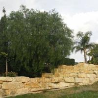 Апартаменты на Кипре, Лимасол, Никосия, 275 кв.м.