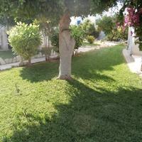 Апартаменты на Кипре, Ларнака, Никосия