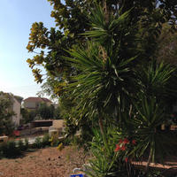 Villa in Republic of Cyprus, Lemesou, Nicosia, 440 sq.m.