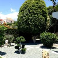 Villa in Republic of Cyprus, Lemesou, Nicosia, 210 sq.m.