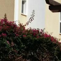 Вилла на Кипре, Пафос, Никосия, 155 кв.м.