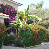 Другое на Кипре, Ларнака, Никосия, 185 кв.м.