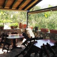 Restaurant (cafe) in Republic of Cyprus, Lemesou, Nicosia, 240 sq.m.