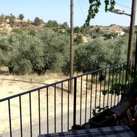 Restaurant (cafe) in Republic of Cyprus, Lemesou, Nicosia, 240 sq.m.