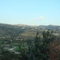 Other in Republic of Cyprus, Lemesou, Nicosia, 440 sq.m.