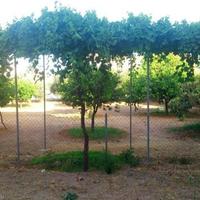 Other in Republic of Cyprus, Lemesou, Nicosia, 620 sq.m.