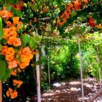 Апартаменты на Кипре, Лимасол, Никосия, 100 кв.м.