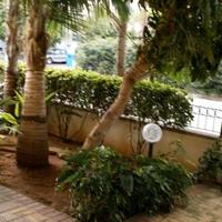 Апартаменты на Кипре, Лимасол, Никосия, 95 кв.м.