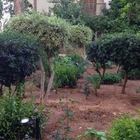 Апартаменты на Кипре, Лимасол, Никосия, 120 кв.м.