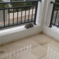 Apartment in Republic of Cyprus, Eparchia Pafou, Nicosia, 95 sq.m.