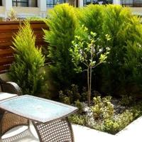 Таунхаус на Кипре, Лимасол, Никосия, 126 кв.м.