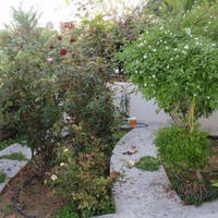 Таунхаус на Кипре, Лимасол, Никосия, 135 кв.м.