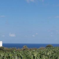 Villa in Republic of Cyprus, Eparchia Pafou, Nicosia, 105 sq.m.